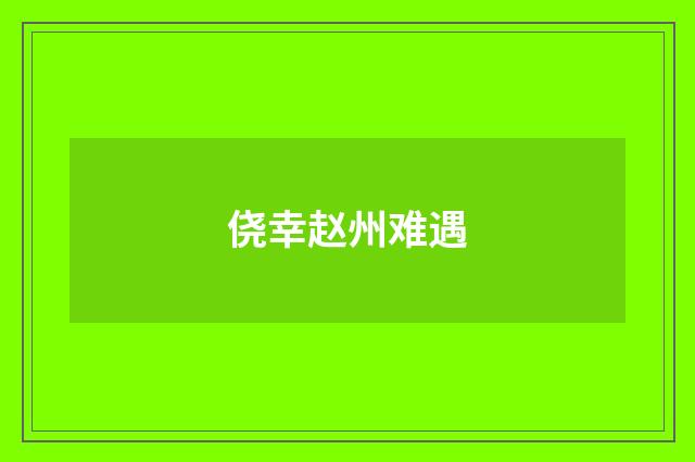 侥幸赵州难遇