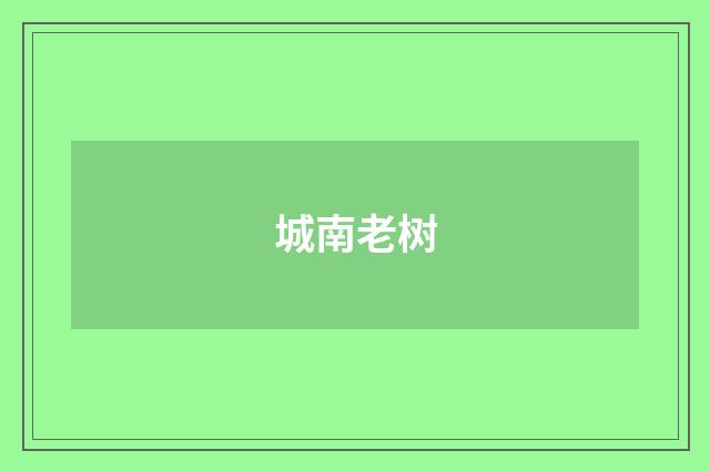 城南老树