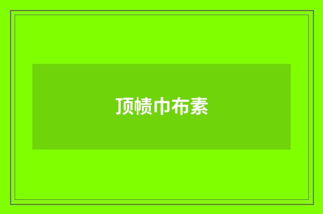 顶帻巾布素