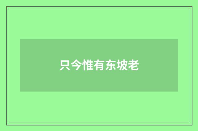 只今惟有东坡老