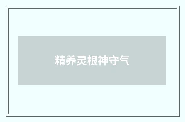 精养灵根神守气