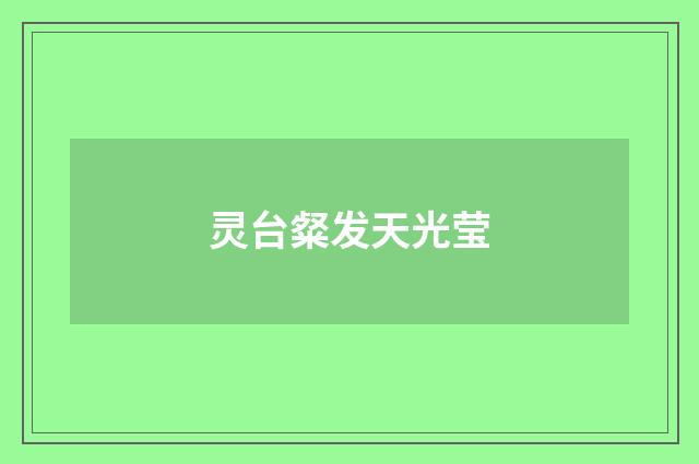 灵台粲发天光莹