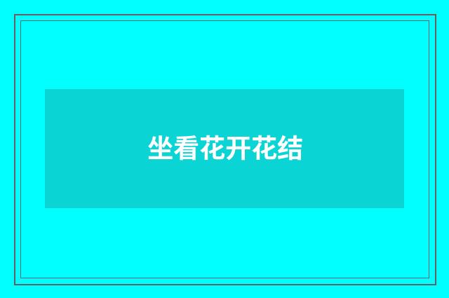 坐看花开花结