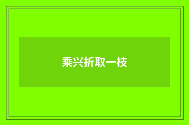 乘兴折取一枝