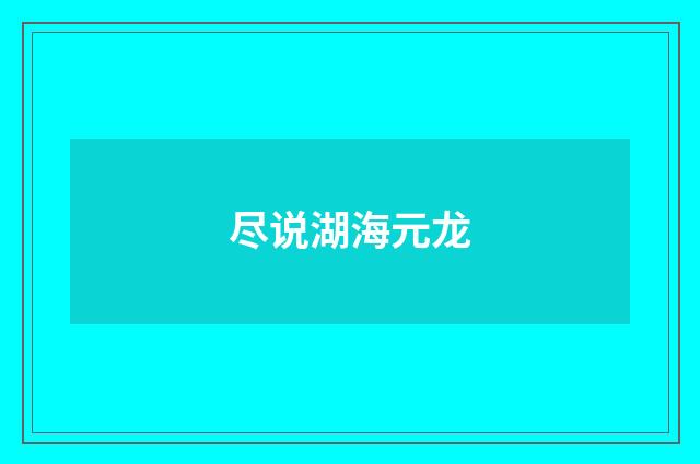 尽说湖海元龙