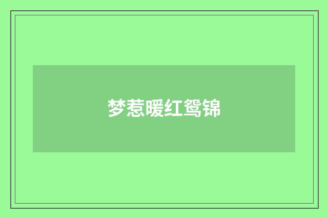 梦惹暖红鸳锦