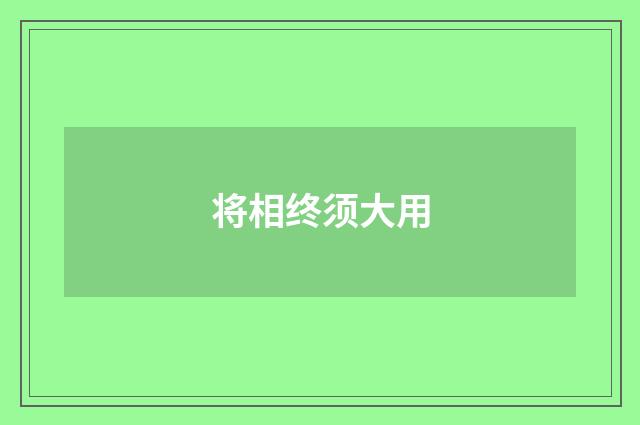 将相终须大用