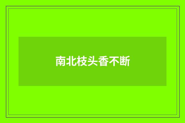 南北枝头香不断