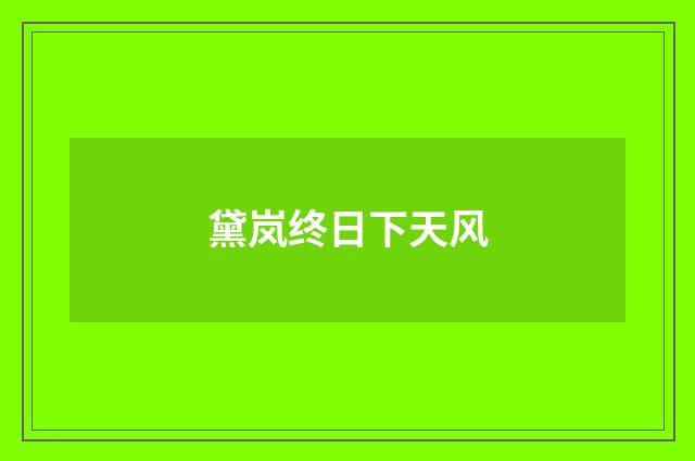 黛岚终日下天风