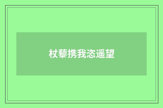 杖藜携我恣遥望