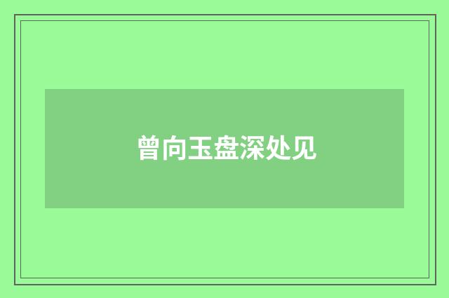 曾向玉盘深处见