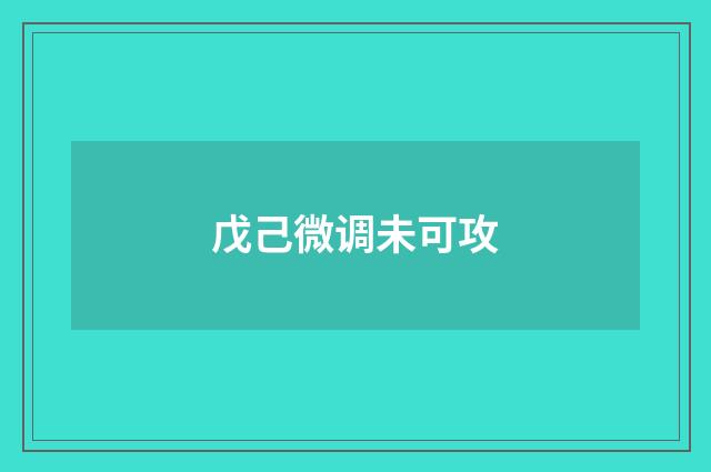戊己微调未可攻