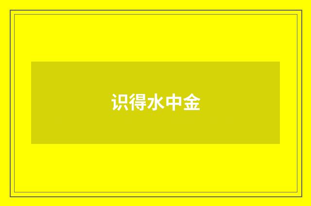 识得水中金