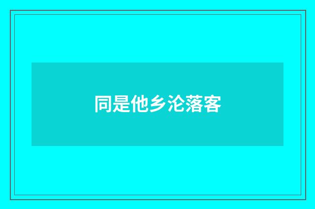 同是他乡沦落客