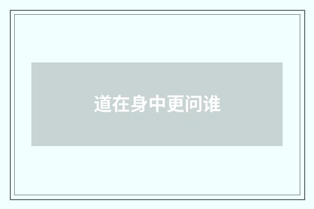 道在身中更问谁