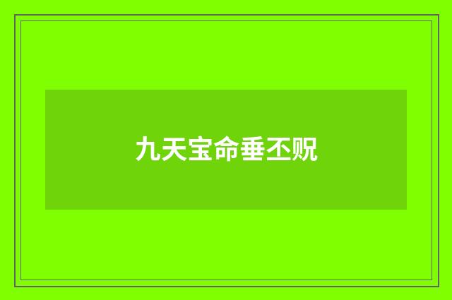 九天宝命垂丕贶