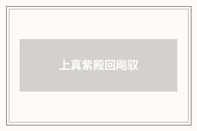 上真紫殿回飚驭