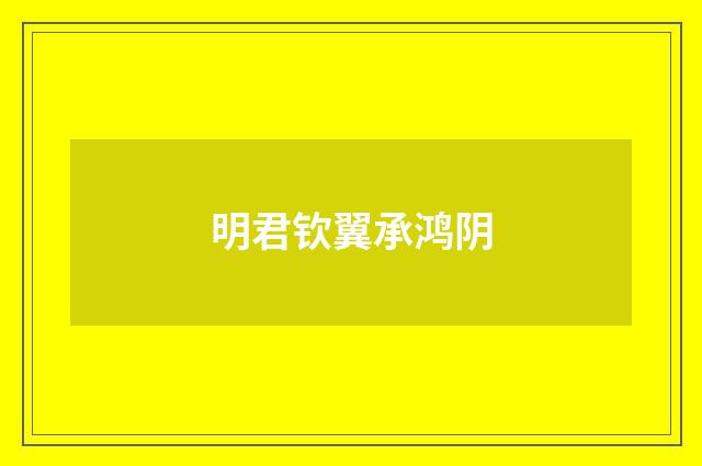 明君钦翼承鸿阴
