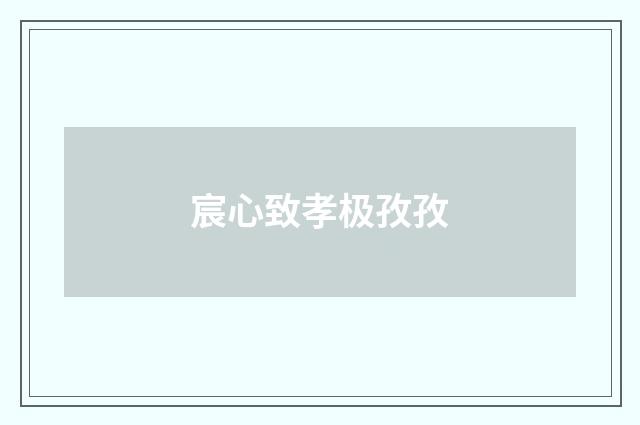 宸心致孝极孜孜