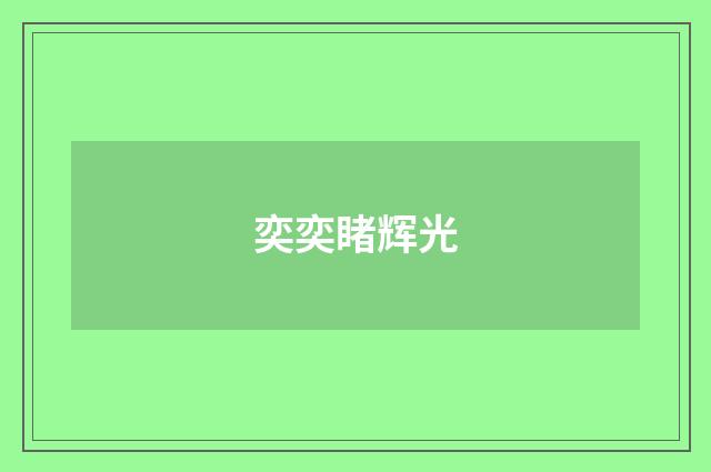 奕奕睹辉光