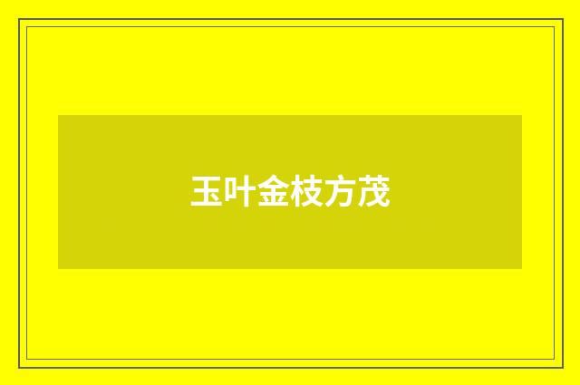 玉叶金枝方茂
