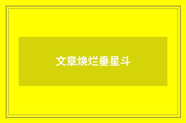 文章焕烂垂星斗