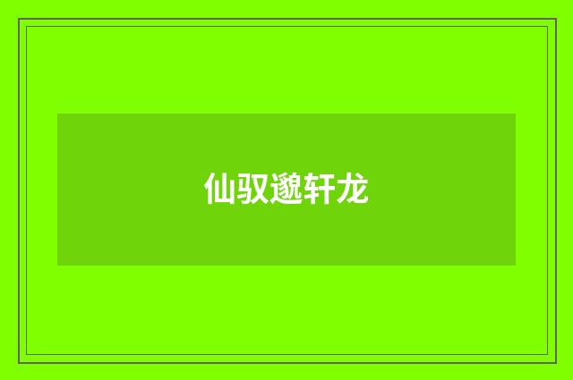 仙驭邈轩龙