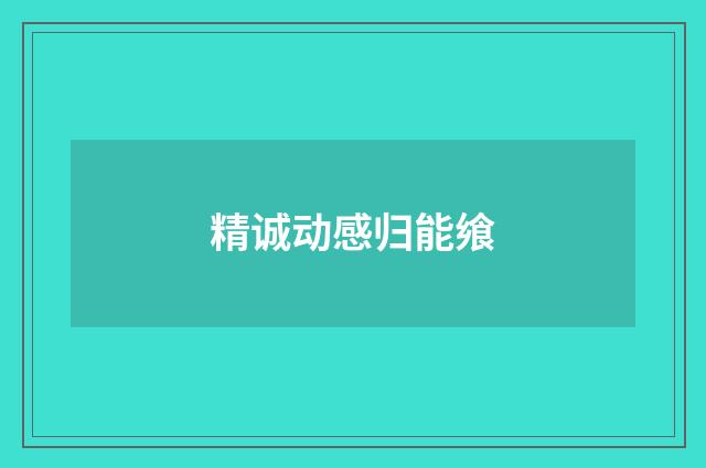 精诚动感归能飨