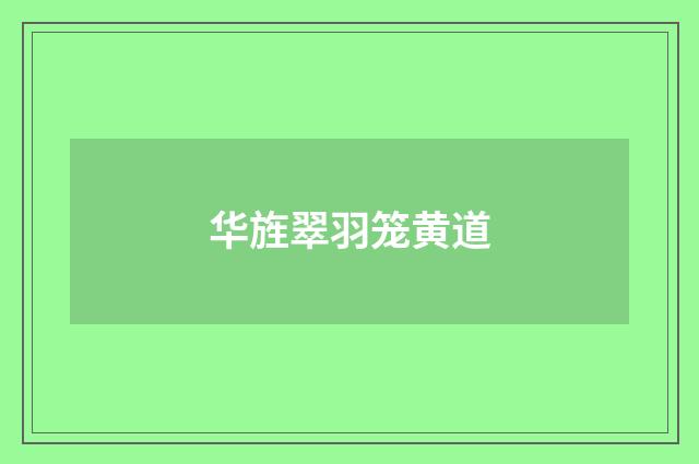 华旌翠羽笼黄道