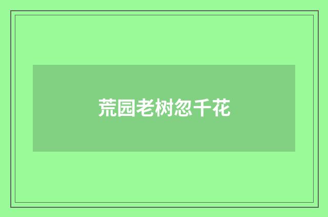 荒园老树忽千花