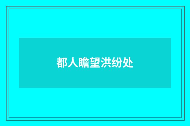 都人瞻望洪纷处