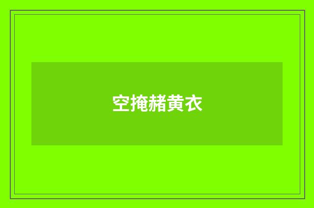 空掩赭黄衣