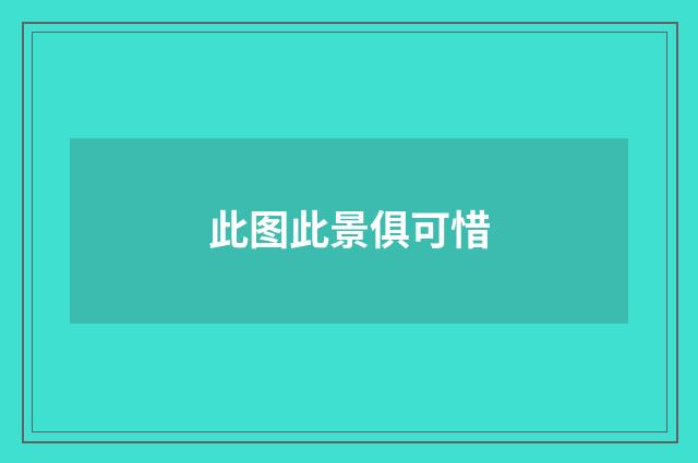 此图此景俱可惜