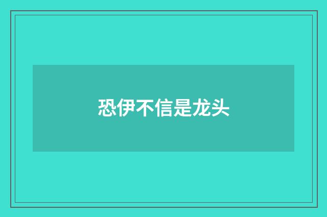 恐伊不信是龙头
