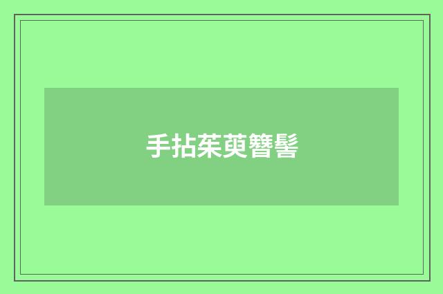 手拈茱萸簪髻
