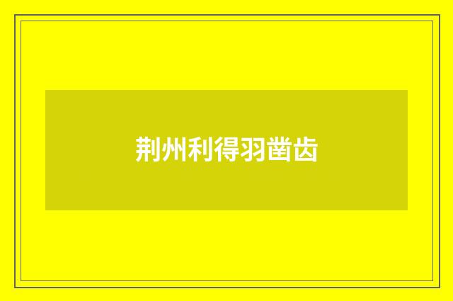 荆州利得羽凿齿