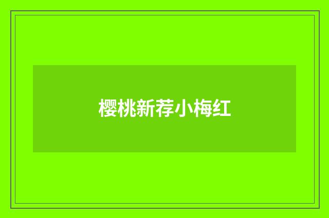 樱桃新荐小梅红