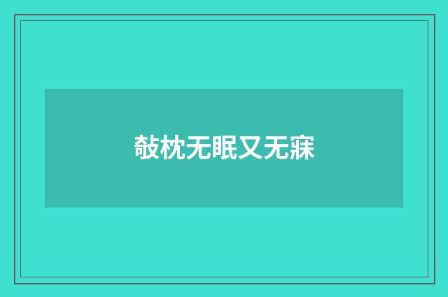 敧枕无眠又无寐