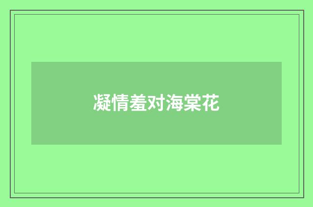 凝情羞对海棠花