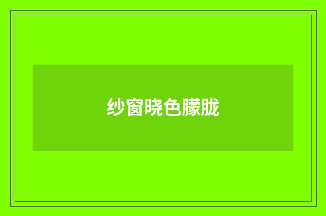纱窗晓色朦胧