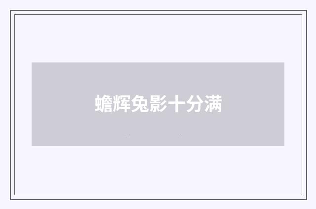 蟾辉兔影十分满