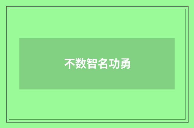 不数智名功勇