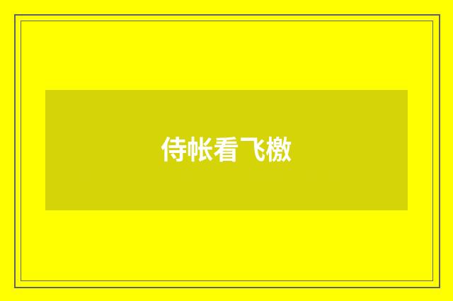 侍帐看飞檄