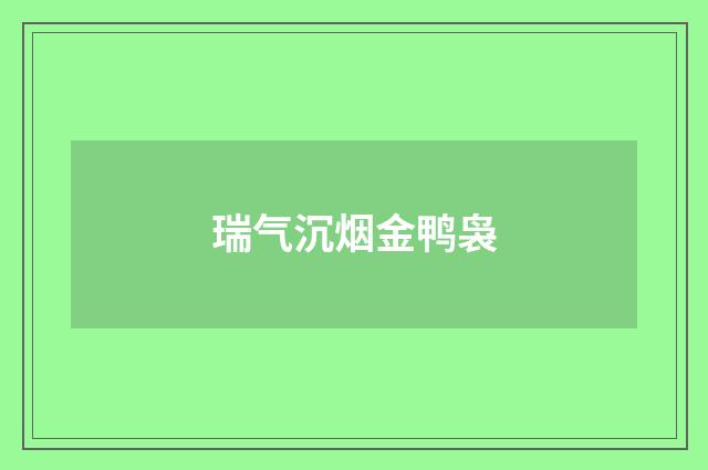 瑞气沉烟金鸭袅