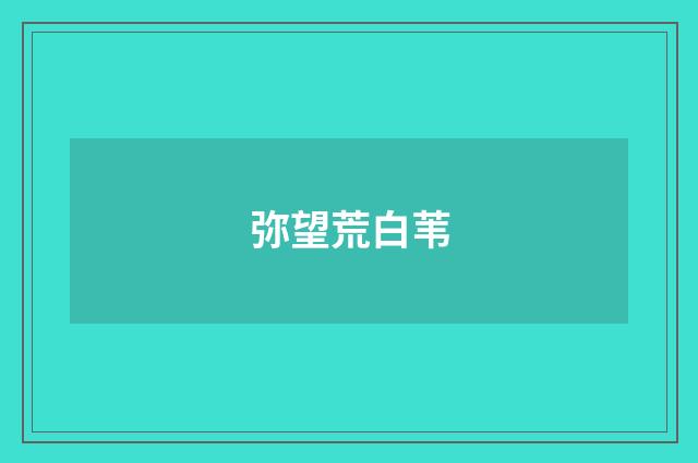 弥望荒白苇