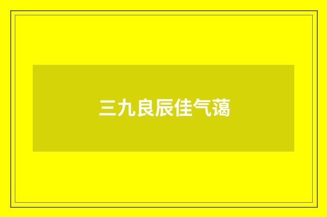 三九良辰佳气蔼