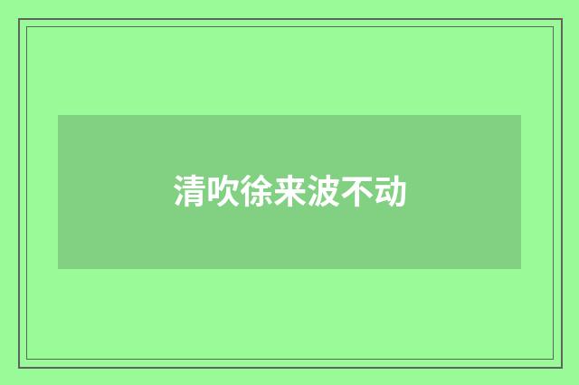 清吹徐来波不动