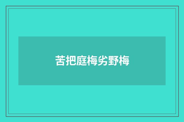 苦把庭梅劣野梅