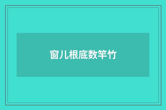 窗儿根底数竿竹