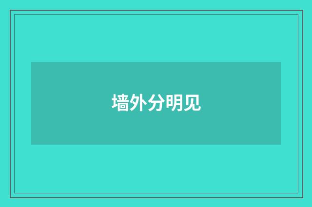 墙外分明见
